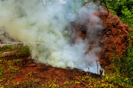 Firefighters are spraying water on fire in rural area with dry grass trees