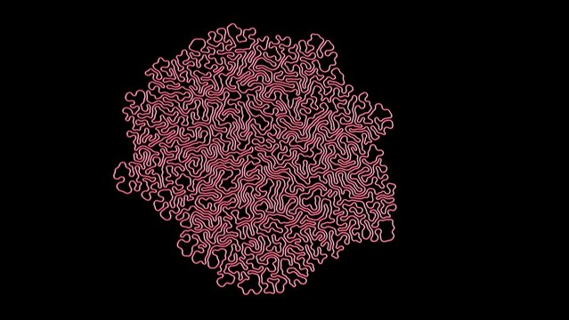 3d Differential Growth simulation. Evolving meandering growing line.  Simple line growing into complex structure. 3d simulation render illustration.