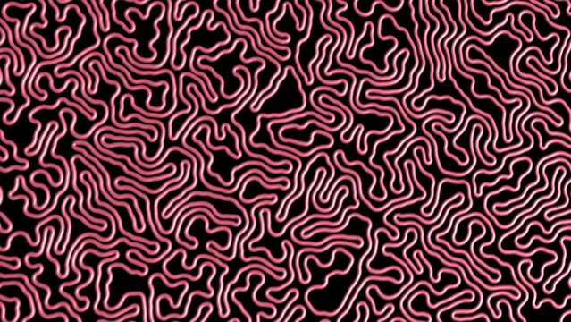 3d Differential Growth simulation. Evolving meandering growing line.  Simple line growing into complex structure. 3d simulation render illustration.
