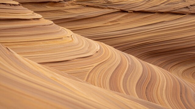 Close-up of flowing wavy sandstone layers with natural striations and warm earth tones.