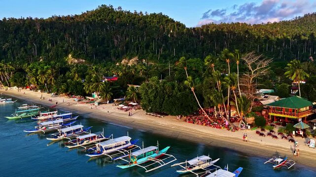 Aerial view of Port Barton Beach with traditional outrigger boats moored along the sandy shoreline, surrounded by lush tropical palm trees and green hills in Mimaropa, Philippines.