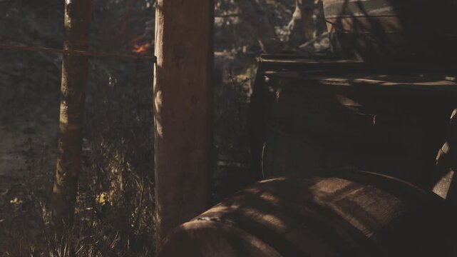 Sunlight filters through trees and casts shadows on wooden barrels. The scene shows a forest clearing with some underbrush and fallen leaves. The barrels are stacked near wooden posts.