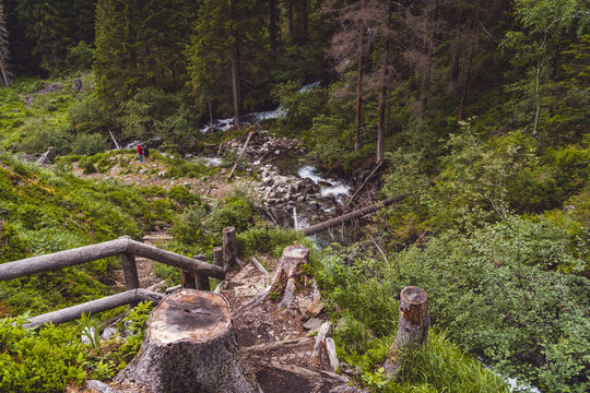 Hikers walking on a natural trail next to a flowing river through a green forest landscape