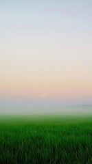 Naklejka premium Minimalist misty sunrise over green field, soft pastel mobile wallpaper