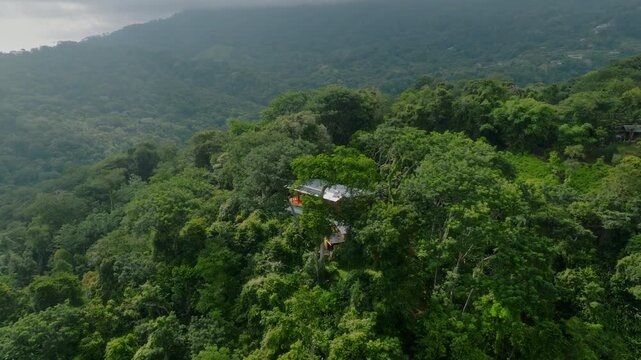 Secluded Cloud Forest Retreat. Hidden Refuge Placed High Within Dense Green Canopy. Remote Hillside Dwelling Overlooking Thick Foliage With Ecofriendly Features And Wildlife