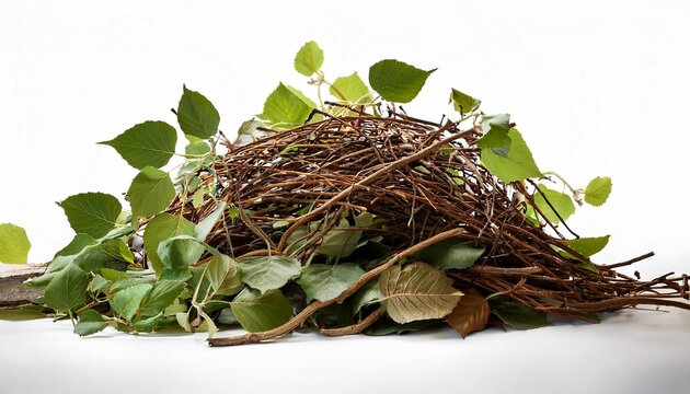 A Heap Of Dry Twigs And Green Leaves Organic Yard Trimmings Isolated On A Clean White Background