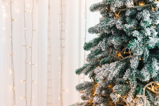 Snow covered Christmas tree decorated with warm glowing fairy lights garland against bright white interior, creating cozy winter holiday aesthetic atmosphere with copy space.