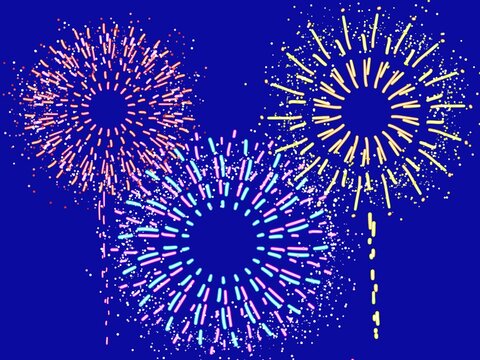 fireworks in the night sky