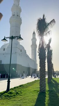 Sunlit view revealing the white Masjid Quba behind palm tree in Medina.