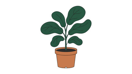 Fototapeta premium A potted plant with large green leaves stands in a terracotta pot