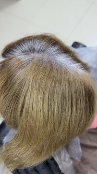 Close-up of hair coloring process with visible roots and gray hair