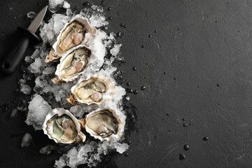 Delicious fresh oysters with ice cubes on black background © Pixel-Shot