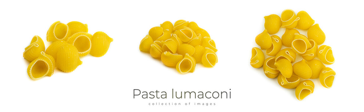 Raw pasta lumaconi rigati, macro isolated on white background.