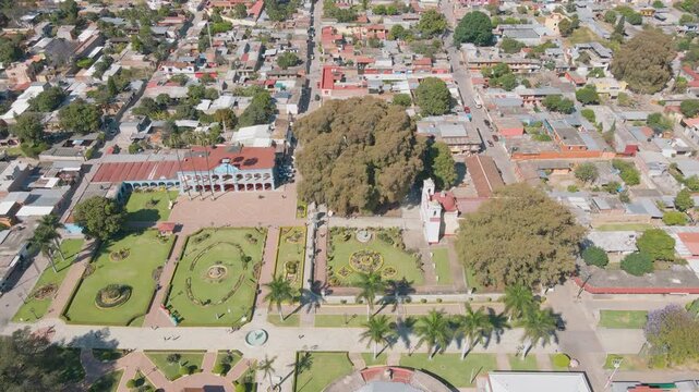 ARBOL MILENARIO DEL TULE OAXA AMEXICO