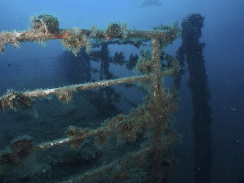 Algae-covered railing of an underwater wreck, dive site wreck of the Vis, Pula, Croatia, Mediterranean Sea