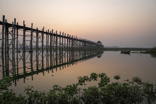 Buddhist monks walking across the U-leg bridge as the sun rises with green plants in the water, Mandalay, Myanmar