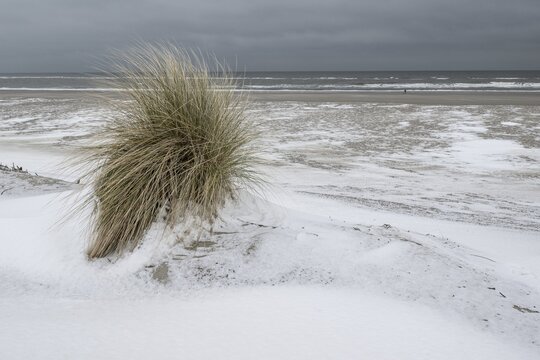 Snow-covered dunes on the North Sea, Langeoog, Lower Saxony, Germany