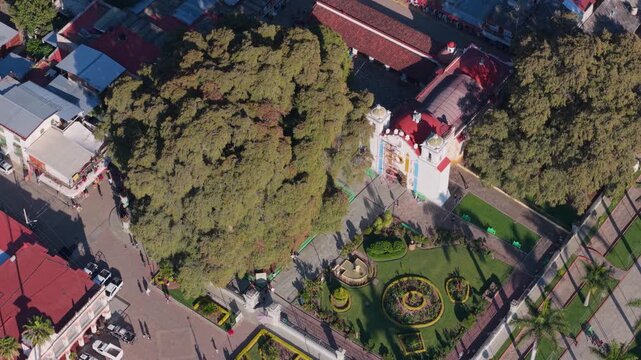 ARBOL MILENARIO DEL TULE OAXA AMEXICO