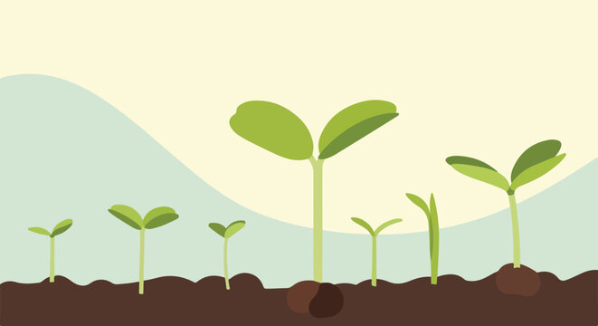 A vector illustration showing various green sprouts growing out of rich brown soil against a soft background.