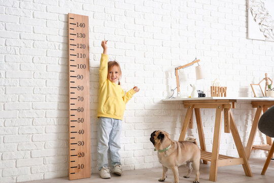 Little girl with cute pug dog measuring height at home