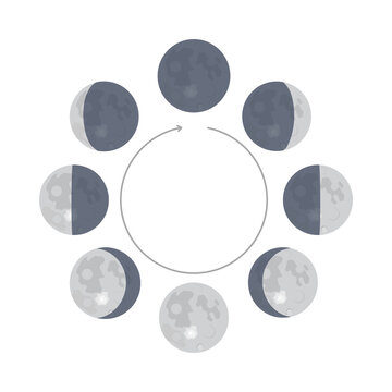 Set of moon phases icons arranged in a circular cycle on a transparent background