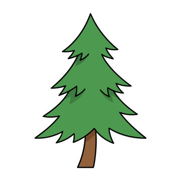 Green cartoon pine tree with brown trunk