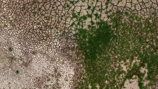 Aerial view of dry cracked earth transitioning into green vegetation at the Tagebau Hambach open-pit mine in Elsdorf, Nordrhein-Westfalen, Germany.