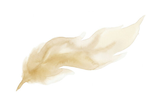 Une plume &eacute;l&eacute;gante peinte &agrave; l'aquarelle dans des tons beiges doux, isol&eacute;e sur un fond blanc pur, id&eacute;ale pour des designs cr&eacute;atifs, des invitations ou des projets artistiques d&eacute;licats.