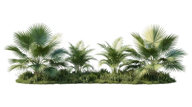 Uma composi&ccedil;&atilde;o de plantas tropicais com palmeiras e folhagens verdes exuberantes isoladas sobre um fundo branco, ideal para projetos de paisagismo e design arquitet&ocirc;nico.
