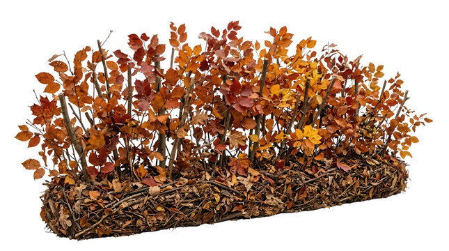 Arranjo decorativo de outono com galhos secos e folhas coloridas em tons de laranja, vermelho e amarelo, isolado sobre um fundo branco para design sazonal.