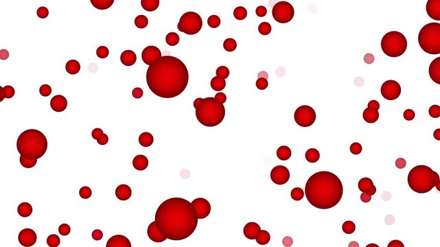 Red spheres floating dynamically against white background animation loop scientific cellular motion graphic abstract.