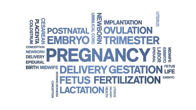 Pregnancy animated word cloud-animation tag kinetic typography seamless loop.