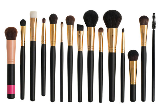 Collection of various makeup brushes with black handles and gold ferrules arranged in a row isolated on a transparent background