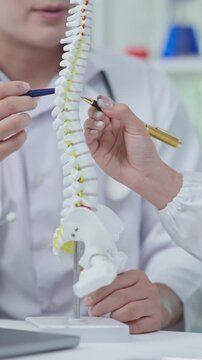 Medical professionals discussing spine anatomy and vertebral structure using spinal model during clinical consultation.