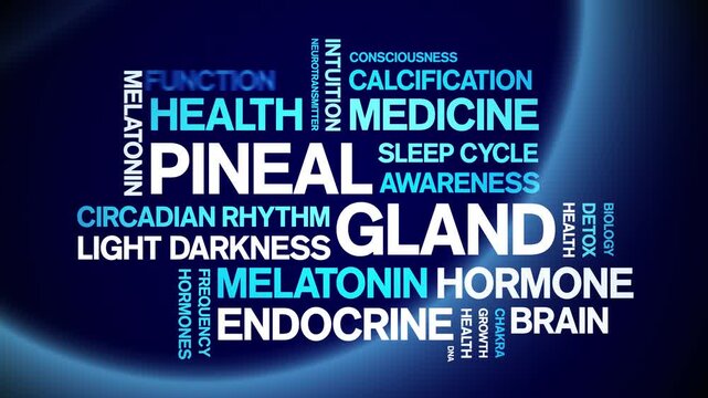 Pineal Gland animated word cloud-animation tag kinetic typography seamless loop.