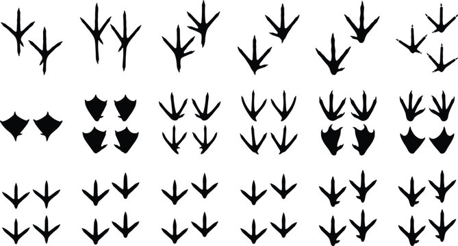 Bird Footprints and Paw Print Silhouette Vector Collection for Nature and Animal Design Projects