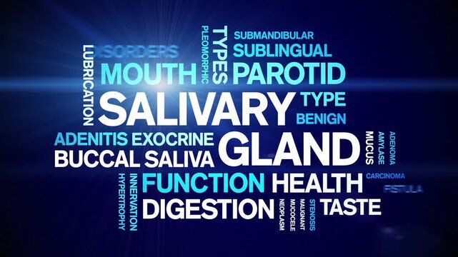 Salivary Gland animated word cloud-animation tag kinetic typography seamless loop.