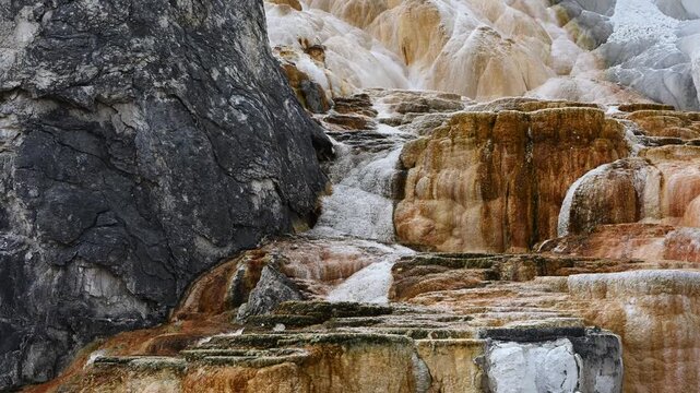 Scalloped geothermal features on Upper Terrace of Mammoth Hot Springs, Yellowstone National Park, summer vacation destination for outdoor nature recreation
