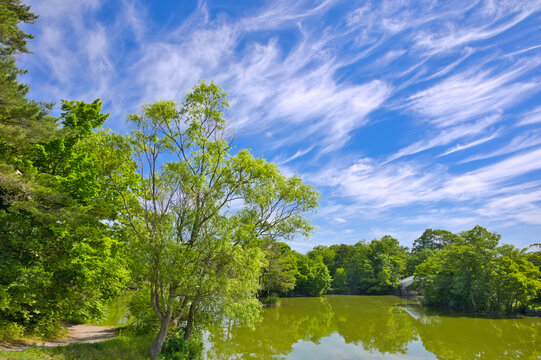 静寂の大沼公園
