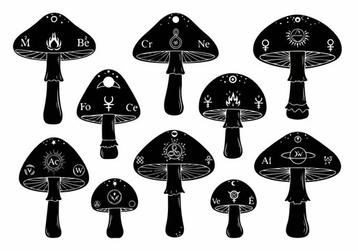 Mystical Mushrooms with Alchemical Symbols