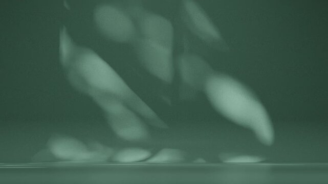 a video footage of header design on a bare, understated scene with light purple color for background