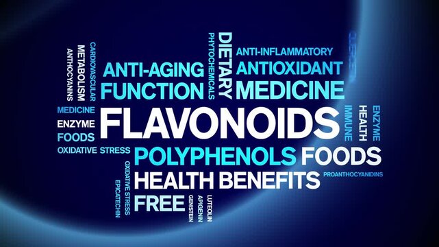 Flavonoids animated word cloud-animation tag kinetic typography seamless loop.