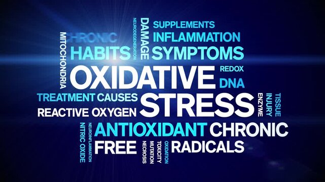Oxidative Stress animated word cloud-animation tag kinetic typography seamless loop.