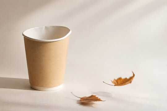 Disposable paper cup with deformed rim and dried autumn leaves in soft breeze, bright studio