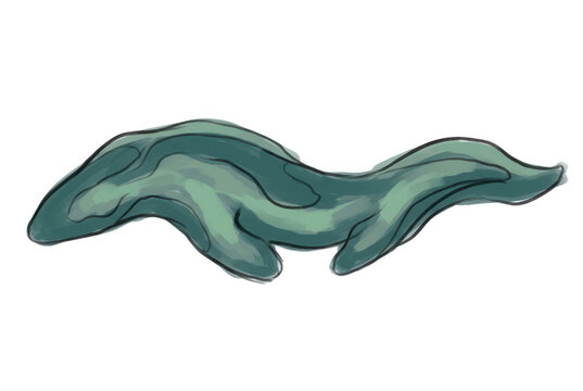 Ilustraci&oacute;n digital de una criatura marina abstracta con forma de anguila o serpiente acu&aacute;tica en tonos verde azulado, con un estilo de dibujo a mano alzada sobre un fondo blanco limpio y minimalista.