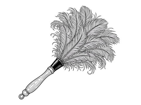 Elegant feather duster on a white background, a vintage cleaning tool with a wooden handle and soft plumes