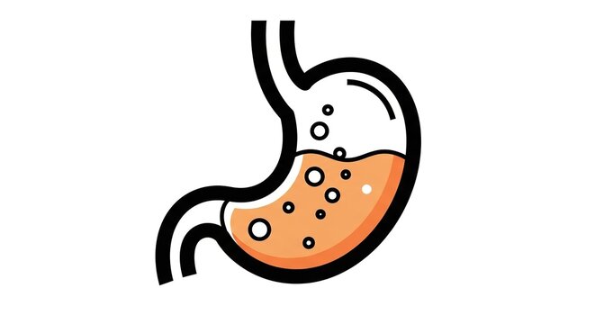 Human stomach organ vector icon illustration. Featuring digestive tract anatomy with gastric acid and bubbles. Flat design medical symbol for healthcare apps clinics and biology education