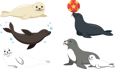 Fototapeta premium Cute Seal and Sea Lion Character Vector Set with Swimming Pup Mother and Circus Ball Elements for Marine Wildlife and Aquarium Graphic Designs
