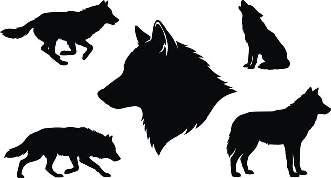 Wild wolf silhouette element set featuring running howling hunting profiles alongside a detailed center head portrait