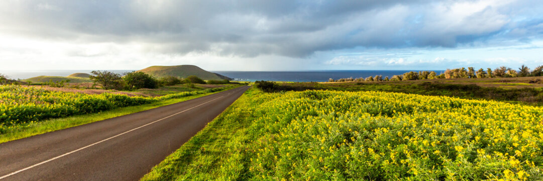Winding Paved Road Through Rolling Green Hills Under a Blue Sky on Easter Island, Valparaiso, Chile. Banner Web, Copy Space